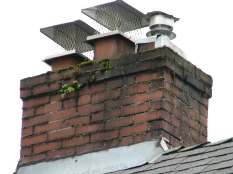 Protecting your chimney from animal intrusion